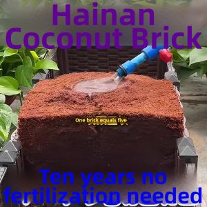 HUAZINIAO | Sterile Nutrient-Rich Universal Coconut Brick