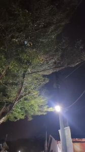 Skotlet Stiker Motor Pink Magenta Metalik Candy Lebar 50cm