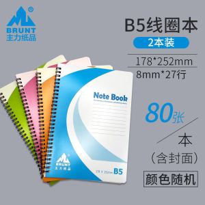 Thickened Double Loop Notebook A5 Large Size Business Meeting Minutes Journal Soft Copy Book Simple Artistic Ins Style Notebook