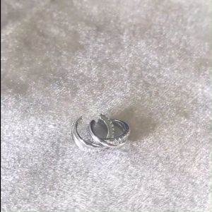 Simple Intertwined Geometric Zircon - Fesoles Daily