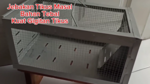 Roekre Perangkap Tikus Masal / Jebakan Tikus / Mouse Trap