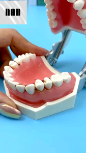 50Pcs/Set Dental Floss Flosser Picks Teeth Toothpicks Stick Tooth Clean Oral Care