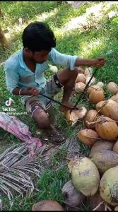 PENGUPAS BUAH KELAPA SULAK MALAYSIA ORIGINAL KUAT PRAKTIS HEMAT TENAGA BAHAN BERMUTU TINGGI