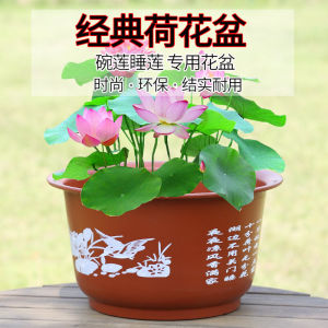 Large Thickened Ceramic Style Lotus Flower Pot No Hole Sleepy Lotus Water Cultivation Green Plant Plastic Flower Pot