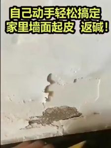 Dempul dinding cream wall repair paste pasta dempul cream pelapis cat dinding SH D11