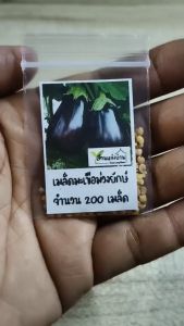 200 เมล็ด มะเขือม่วงยักษ์ เมล็ดมะเขือม่วงยักษ์ เมล็ดมะเขือยักษ์ มะเขือยักษ์ เมล็ดมะเขือม่วง มะเขือม่วง