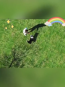 ปลอกคอกันแมลงสำหรับสัตว์เลี้ยง ปลอกคอเห็บไล่หมัด ปลอกคอสัตว์เลี้ยงสำหรับสุนัขและแมว (จัดส่งในประเทศไทย) CW109