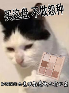 Dasique Nine Colors Eyeshadow Palette Matte Earth Tone Milk Tea Nude New Model Eye Makeup Korean Brand Beauty Tool