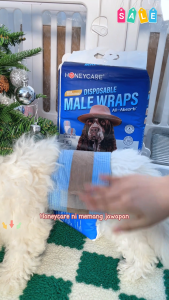 Honeycare All-absorb diapers dog dipaers pet diapers & trays denim dog diapers for male or female 狗狗生理裤尿不湿宠物卫生巾宠物纸尿裤公狗裤母狗月经裤 50片/包