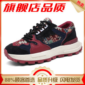 Mens Winter Anti-slip Wear-resistant Casual Versatile Embroidered Agan Board Shoes Sports Heightening Dad Trendy Shoes