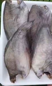 KHÔ CÁ SẶC CÀ MAU 500g  KHÔ CÁ SẠC LẠC  LOẠI 1 (8-7 CON /KG) ĐẶC SẢN MINH TRIẾT CÀ MAU