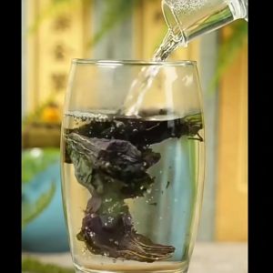 100gx 1 Can Perilla Leaf 正宗野生紫苏叶干新鲜天然苏子叶 High Quality Perilla Leaf 干货泡茶烧鱼虾蟹去腥食用中药材