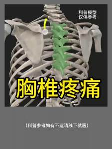 💗🙋♀️💗【温经活络】后背疼痛背部筋肌膜焱肌肉劳损僵硬酸痛后背肿痛脊柱疼痛胀痛贴