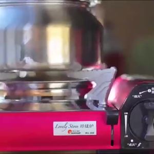 Maxsun | Portable Outdoor Gas Grill