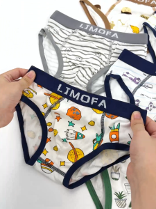 LJMOFA Best Value Random Kids Underwear 1 PCS No Ride-Up Cotton Baby Briefs for Boys 2-11 Yrs