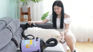 DOVVA 6800W Power Hair Dryer Pet Blew for Dog Cat Grooming Warm Wind Fast Pet Blower dryer (Blow&Suction 2in1)