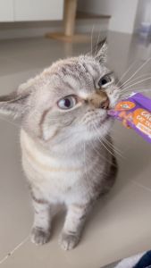 [Clearance Sale] (EXP. Mar 2026) FELIS & CANIS ขนมแมวเลีย รสทูน่าและหอยเชลล์ บำรุงขนและผิวหนัง