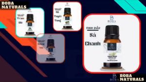 (HCM) Tinh Dầu Hương Nhu BOBA Nhập Ấn Khuêch Tán Hương Xông Thơm Phòng Thanh Lọc Không Khí - BOBA NATURASLS