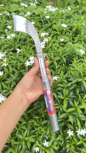 มีดกรีดยางพารา สยามมงกุฏ เหล็กก้านวาล์ว ลับคมแต่งเดือยพร้อมใช้งาน มี3องศาให้เลือก 65•/75•/85• แท้100%