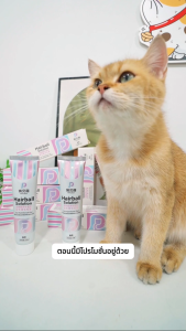 【ซื้อ 4 แถม 1 ฟรี】PetClear🐱Pet อาหารเสริมบำรุงเส้นผมสำหรับแมว Pet Treat Health care Hairball Gel 120g 化毛膏
