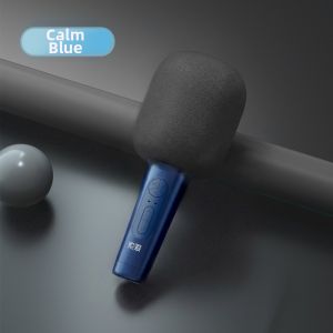 soaiy | Wireless Bluetooth Home Karaoke Microphone with Speaker