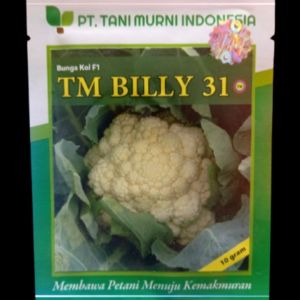 [Termurah] Benih Bunga Kol F1 TM BILLY 31 10 Gram