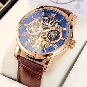OLEVS 6670 Luxury Brand Men Style Fashion Skeleton Mechanical Watch Genuine Leather Belt Automatic Silver Hollow Out