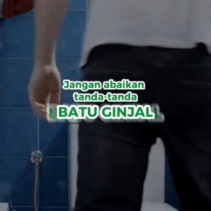 Renathib Naturafit - Kapsul Herbal Cepat Luruhkan Batu Urin di Ginjal dan Saluran Kemih Isi 60 Kapsul Melancarkan Buar Air Kecil | 100% Alami Tanpa Bahan Kimia
