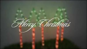 Green Christmas Tree Solar Garden Lights 5 Pack Outdoor LED Stake Lights Warm White 8 Lighting Modes Lawn Yard Holiday Decor