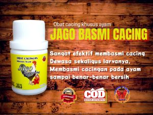 obat cacing ayam bangkok jago basmi cacing 20 kapsul