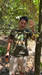 (COD) PUPUK ORGANIK CAIR TANAMAN BUAH / BUNGA 500mL