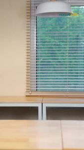 NEW Naturelish Essencare Recovery Glutamine Fish Oil DHA Omega 3 6 Fibre Protein Cancer.修复奶粉抗癌蛋白质氨基酸能量鱼油(Taishan Health Care)