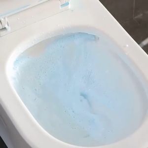 Japan Toilet Foam Cleaner: A Powerful & Harmless Bathroom Solution