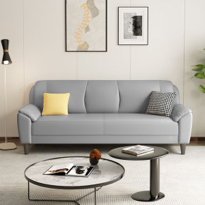 Factory Direct Sales Modern Minimalist Small Apartment Cat Scratch Cloth Sofa Living Room Straight Row Double Three-Person Office Leisure Area