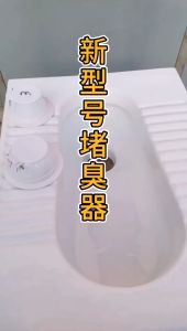 Penutup Lubang Kloset Jongkok Tutup Hole Toilet Closet Anti Bau