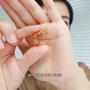 Bailan Stud Earrings for Women Elegant Premium Chic Statement Fashion Jewelry Anti Allergy ED3989-T