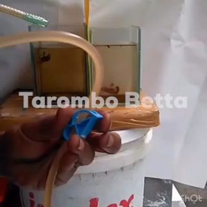 Alat Selang Sipon Sifon Air Aquarium Ikan Cupang & Ikan Lainnya Size L