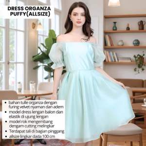DRESS CINDERELA ORGANZA DEWASA DRESS KOREAN STYLE LENGAN PUFFY