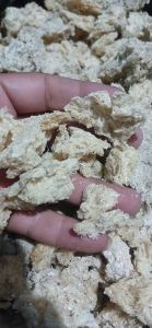 sarang walet untuk vitamin hewan 1gram