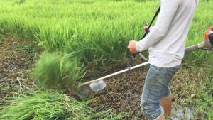 Lồng gom cỏ Rọ gom cỏ