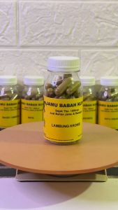Obat Herbal Asam Lambung Kronis Atasi Maag Mag Gerd Mual Muntah Gerd Anxiety Herbal - Jamu Babah Kuya (KAPSUL)