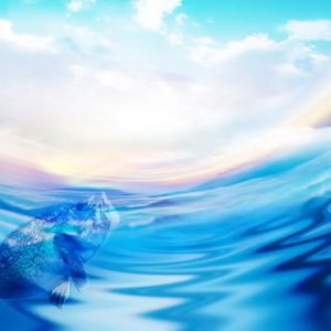 AQUASEA Joran Pancing Toman Spinning 1.50m - 1.80m Fishing Rod Carbon Fiber Fishing Tackle Outdoor Fishing Joran Pancing