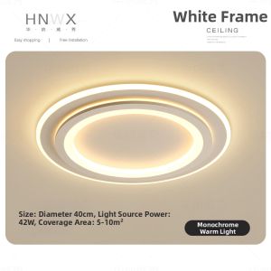 Simple Modern Young Adults Ceiling Light