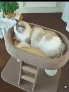 Cat posts Cat Tree House Cat Condo Climbing Sisal Pole Cat Bed Cat Playground Scratches w Stair Unassemble