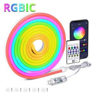 5V USB RGBIC Neon Dây Đèn LED Đèn Bluetooth Ứng Dụng Điều Khiển Đồng Bộ Nhạc Chống Nước Băng Linh Hoạt Cho Phòng Chơi Game Trang Trí Tiệc
