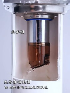 Automatic Water-Floating Suspension Drainage Toilet/Bathroom Drain Anti-Odor Hair Filter Deep Drain Core Self-Closing Check Valve Fast Drain Universal Anti-Clog Core Portable Shower Drain Stopper for Household