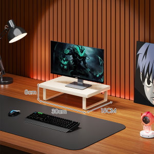 Ergonomic Desktop Monitor Riser Storage