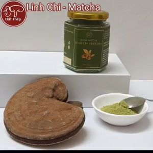 Bột Nấm Linh Chi Đất Thép Hòa Tan Matcha 100g - Cung cấp năng lượng - Thải độc gan - Hàng chính hãng