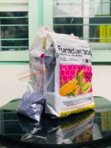 Insektisida Nematisida FURADAN 3GR