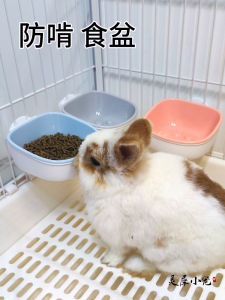 Hanging Prevent Biting Guinea Pig Food Bowl Chinchilla Hamster Feeder Rabbit Feeder Pet Supplies Small Pet Feeding Waterer